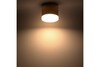 Миниатюра фото накладной потолочный светильник ritter arton 59949 4 | 220svet.ru