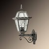 Миниатюра фото уличный настенный светильник arte lamp paris a1351al-1bs | 220svet.ru