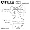 Миниатюра фото потолочная люстра citilux glob cl209291 | 220svet.ru