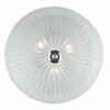 Миниатюра фото настенный светильник ideal lux shell pl3 trasparente | 220svet.ru