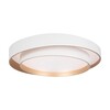 Миниатюра фото потолочный светильник freya layer fr6085cl-l72wg | 220svet.ru