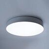 Миниатюра фото потолочный светодиодный светильник feron simple matte al6200 48071 | 220svet.ru