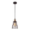 Миниатюра фото подвесной светильник loft it loft1114 | 220svet.ru