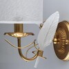 Миниатюра фото бра chiaro софия 355024501 | 220svet.ru