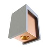 Миниатюра фото потолочный светодиодный светильник loft it architect ol1073-gg | 220svet.ru