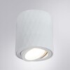 Миниатюра фото потолочный светильник arte lamp fang a5559pl-1wh | 220svet.ru