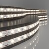 Миниатюра фото светодиодная влагозащищенная лента elektrostandard 4,8w/m 60led/m 2835smd теплый белый 5m a052956 | 220svet.ru