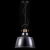 Миниатюра фото подвесной светильник maytoni irving t163pl-01c | 220svet.ru
