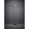 Миниатюра фото торшер eglo caredara 390167 | 220svet.ru