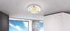 Миниатюра фото потолочный светодиодный светильник globo froo 48246 | 220svet.ru
