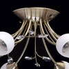 Миниатюра фото потолочная люстра mw-light нежность 356015308 | 220svet.ru