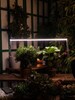 Миниатюра фото настенный светодиодный светильник для растений uniel uli-p11-24w/spfr ip40 white ul-00008919 | 220svet.ru