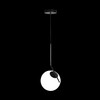 Миниатюра фото подвесной светильник loft it icl 2579-a | 220svet.ru