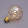 Миниатюра фото лампа накаливания e27 40w 2600k прозрачная g8019g40 | 220svet.ru