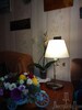 Миниатюра фото настольная лампа odeon gemena 2481/1t | 220svet.ru