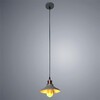 Миниатюра фото подвесной светильник arte lamp a5067sp-1gy | 220svet.ru