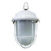 Миниатюра фото уличный подвесной светильник tdm electric нсп 02-100-002.01 sq0310-0002 | 220svet.ru