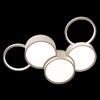 Миниатюра фото потолочный светильник loft it pin 10317/5 white | 220svet.ru