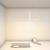 Миниатюра фото подвесной светильник imperium loft squirrel 220661-23 | 220svet.ru