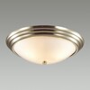 Миниатюра фото настенно-потолочный lumion kayla 5262/3с | 220svet.ru