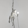 Миниатюра фото подвесной светильник monkey lamp ceiling | 220svet.ru