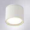 Миниатюра фото уличный потолочный светильник arte lamp piautos a1913pf-1wh | 220svet.ru