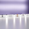 Миниатюра фото светодиодная лента maytoni technical 4,8w/m холодный белый 5m 20009 | 220svet.ru