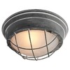 Миниатюра фото потолочный светильник lussole loft lsp-9881 | 220svet.ru
