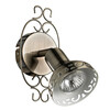 Миниатюра фото спот arte lamp focus a5219ap-1br | 220svet.ru