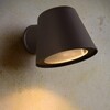 Миниатюра фото уличный настенный светильник lucide dingo led 14881/05/30 | 220svet.ru