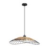 Миниатюра фото подвесной светильник arte lamp woodstock a7061sp-1bk | 220svet.ru