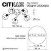 Миниатюра фото потолочная люстра citilux tika cl133151 | 220svet.ru