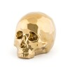 Миниатюра фото статуэтка череп my skull gold seletti | 220svet.ru