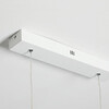Миниатюра фото подвесной светильник imperium loft squirrel 220661-23 | 220svet.ru