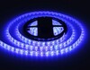 Миниатюра фото комплект светодиодной влагозащищенной ленты ambrella light 14,4w/m 60led/m 5050smd rgb 5m gs2502 | 220svet.ru