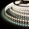 Миниатюра фото светодиодная лента elektrostandard 9,6w/m 120led/m 2835smd теплый белый 5m 4690389154829 | 220svet.ru