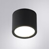 Миниатюра фото уличный потолочный светильник arte lamp piautos a1913pf-1bk | 220svet.ru