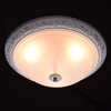 Миниатюра фото потолочный светильник mw-light ариадна 12 450013703 | 220svet.ru