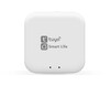 Миниатюра фото wi-fi конвертер управления светильниками ambrella light magnetic smart gl1920 | 220svet.ru
