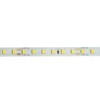 Миниатюра фото светодиодная лента saffit 9,6w/m 120led/m 2835smd холодный белый 5м sst02 55242 | 220svet.ru