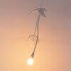 Миниатюра фото настенный светильник sparrow taking off seletti 15315 | 220svet.ru
