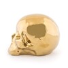 Миниатюра фото статуэтка череп my skull gold seletti | 220svet.ru