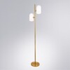 Миниатюра фото торшер arte lamp cassel a5454pn-2pb | 220svet.ru