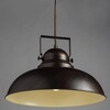 Миниатюра фото подвесной светильник arte lamp martin a5213sp-1br | 220svet.ru