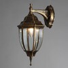 Миниатюра фото уличный настенный светильник arte lamp pegasus a3152al-1bn | 220svet.ru