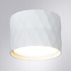 Миниатюра фото потолочный светильник arte lamp fang a5552pl-1wh | 220svet.ru