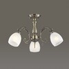 Миниатюра фото потолочная люстра lumion ninella 3092/3 | 220svet.ru