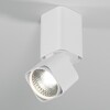 Миниатюра фото потолочный светодиодный светильник elektrostandard 25043/led 10w 4000k белый a063681 | 220svet.ru