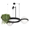 Миниатюра фото подвесной светодиодный светильник loft it jardin 10121/2 | 220svet.ru