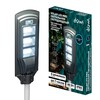 Миниатюра фото уличный светодиодный светильник duwi solar led pro 24292 9 | 220svet.ru